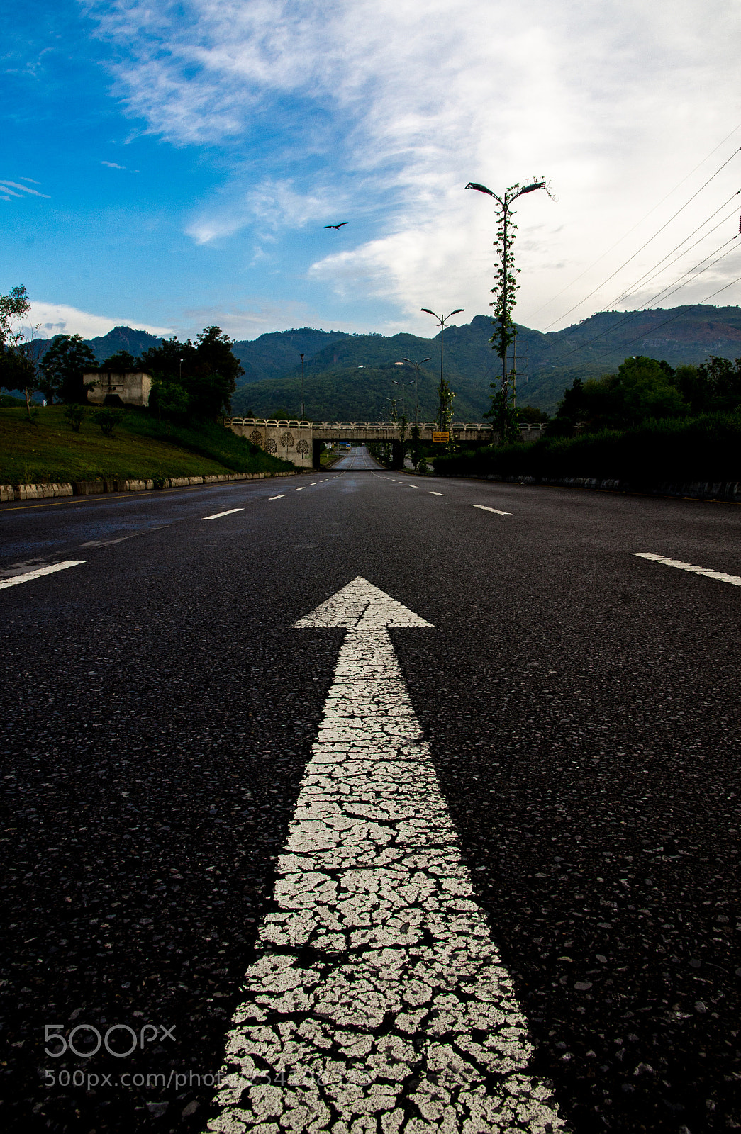 Nikon D7000 sample photo. Untitled photography