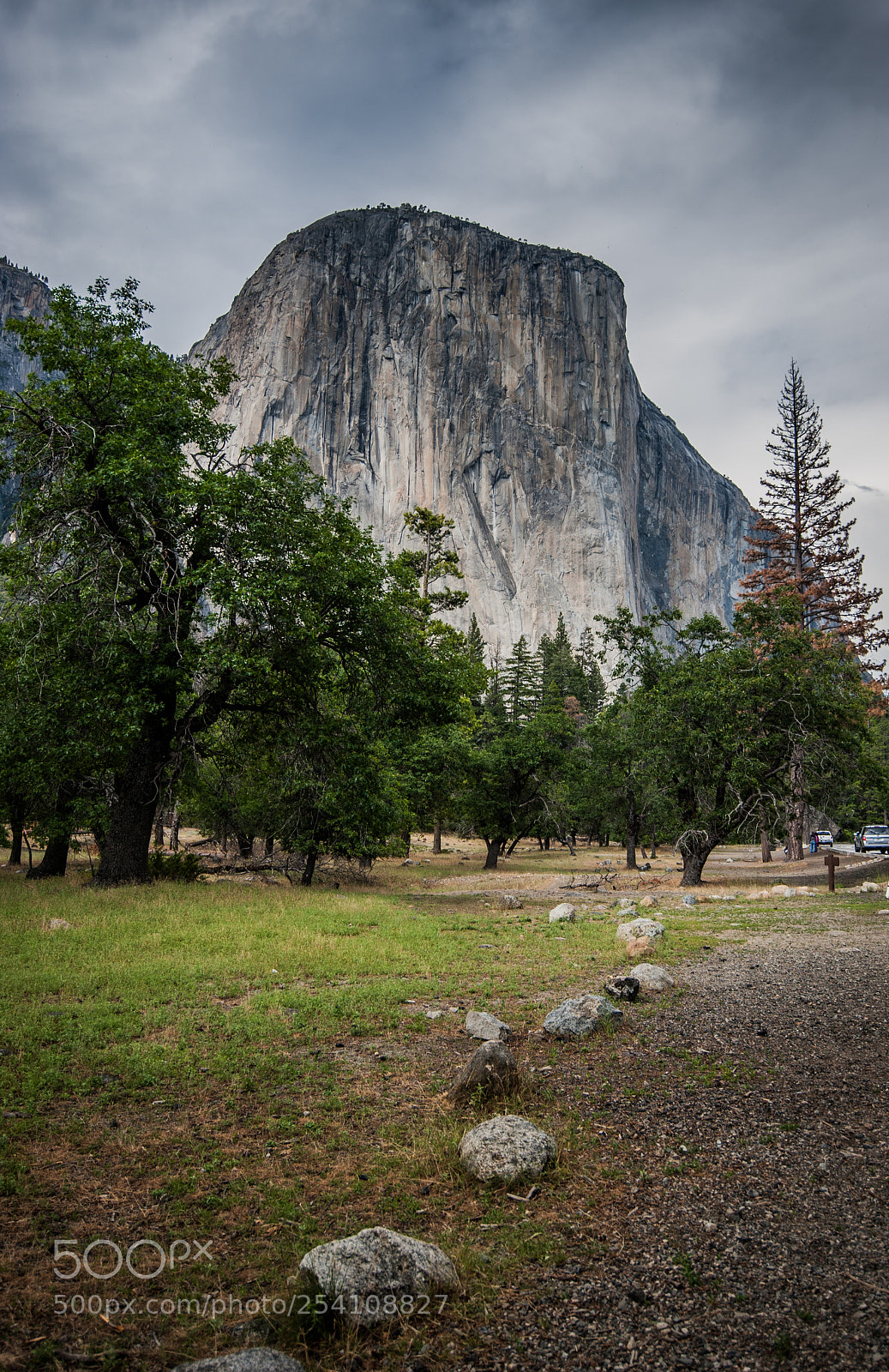 Nikon D700 sample photo. Yosemite photography