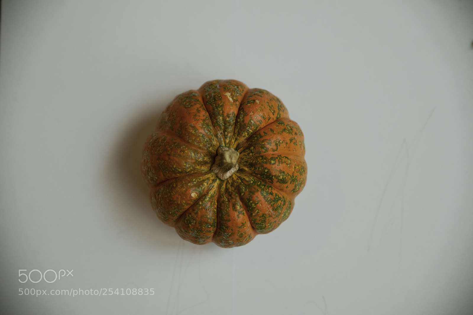 Nikon D810 sample photo. Autumn sensation photography
