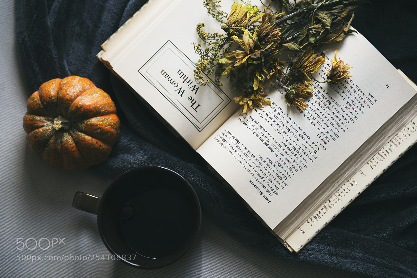 Nikon D810 sample photo. Autumn sensation photography