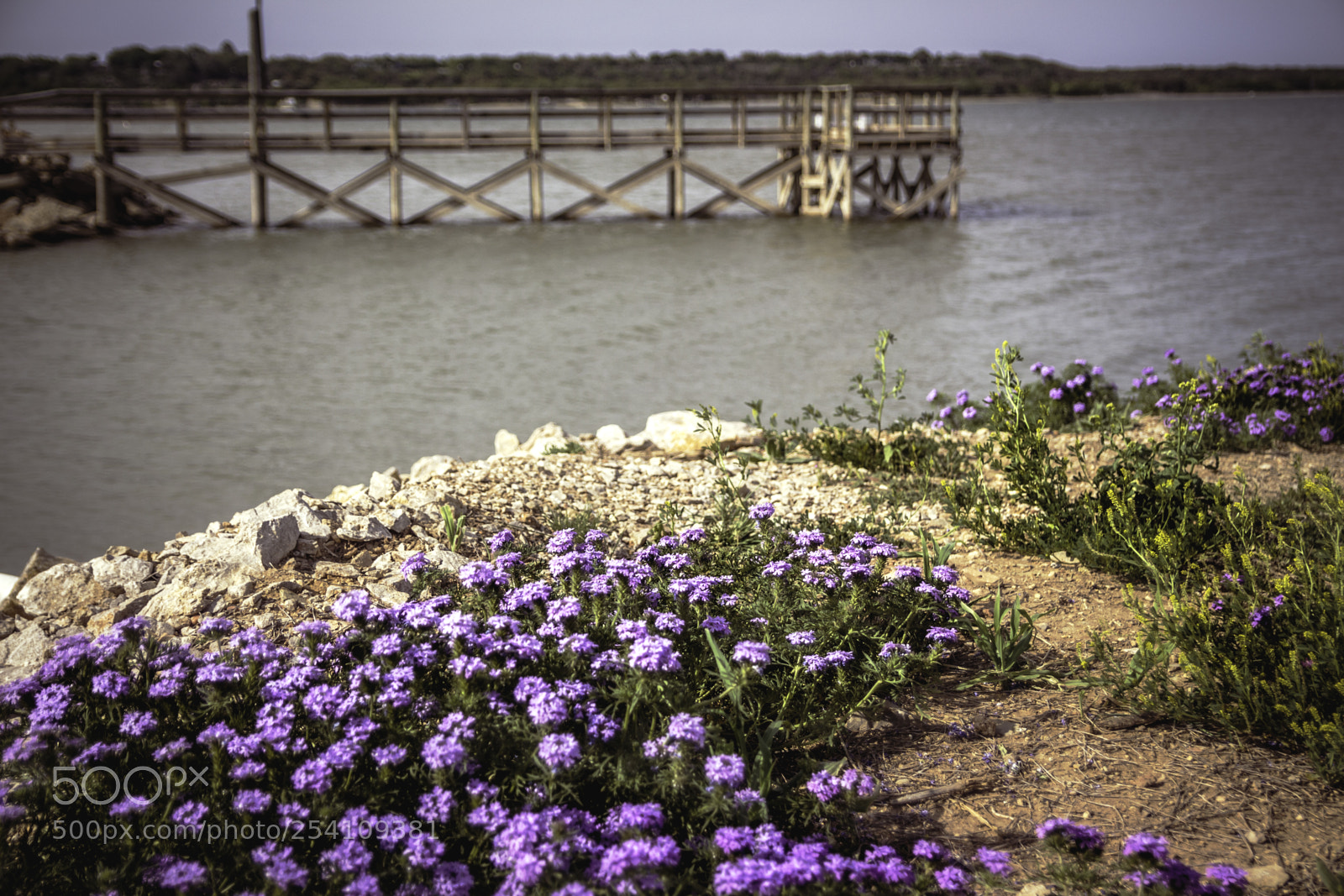 Canon EOS 650D (EOS Rebel T4i / EOS Kiss X6i) sample photo. Lake pier photography