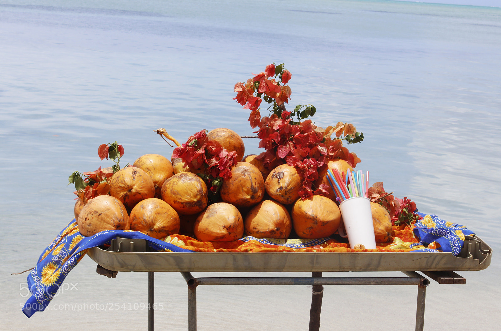 Canon EOS 700D (EOS Rebel T5i / EOS Kiss X7i) sample photo. Fancy some coconut water photography