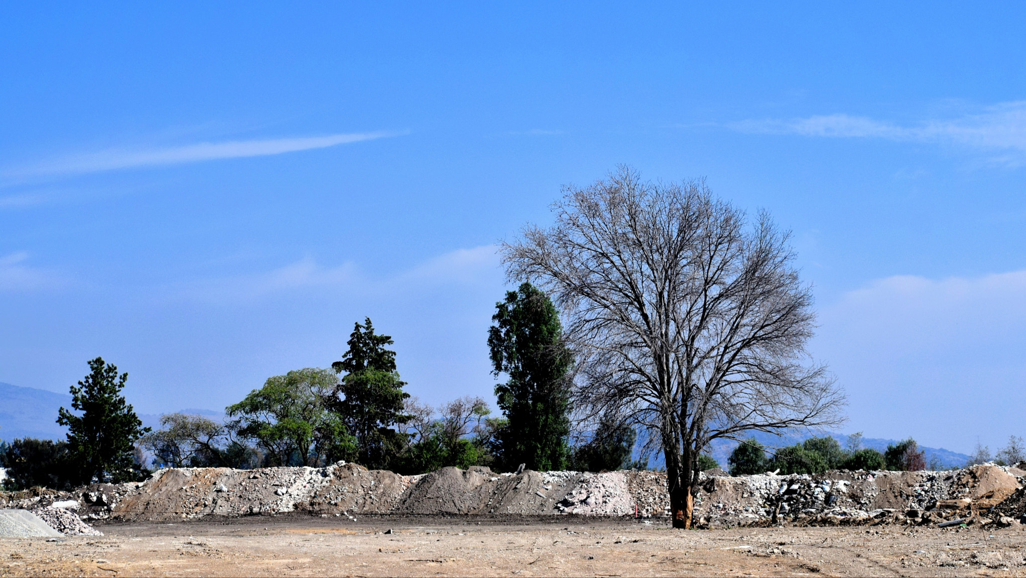 Nikon D3300 sample photo. Singled out photography