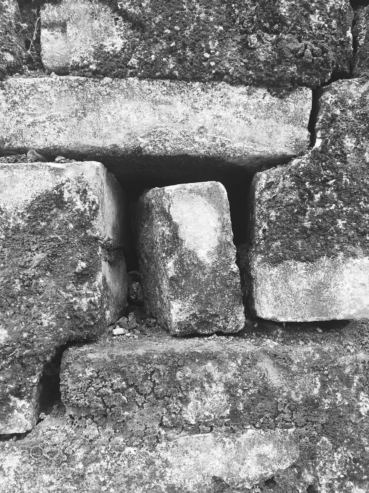 Apple iPhone 6 sample photo. Another brick in the photography