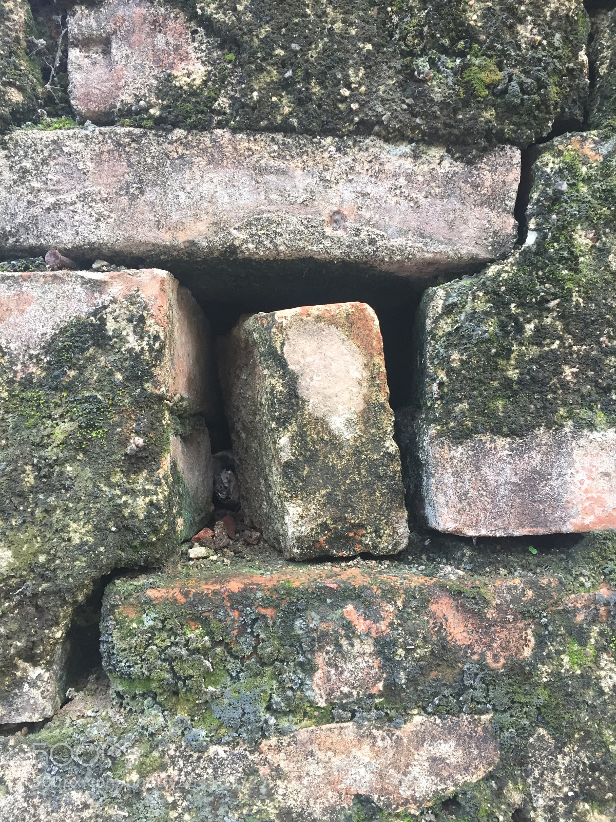 Apple iPhone 6 sample photo. Another brick in the photography