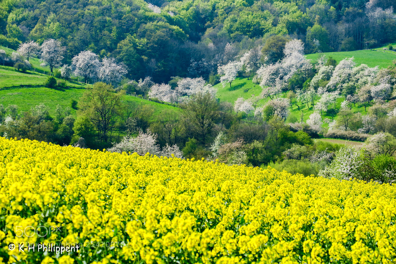 Canon PowerShot G3 X sample photo. Nordhessen germany , spring photography