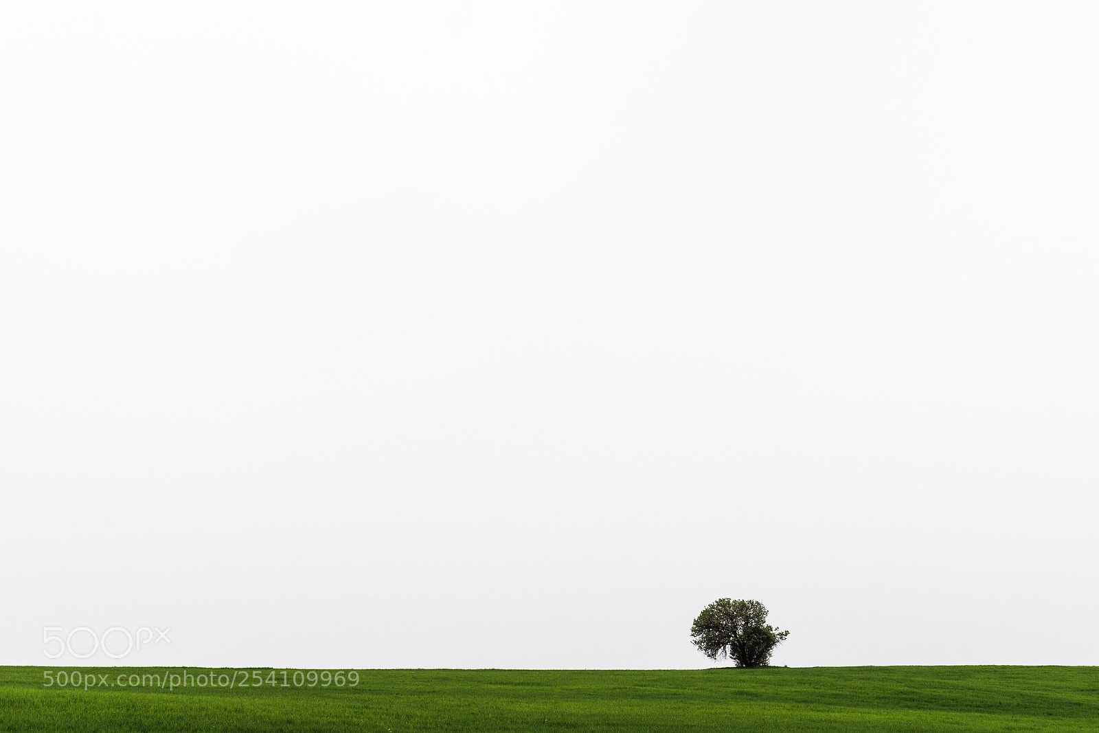 Sony a6000 sample photo. Lonely photography
