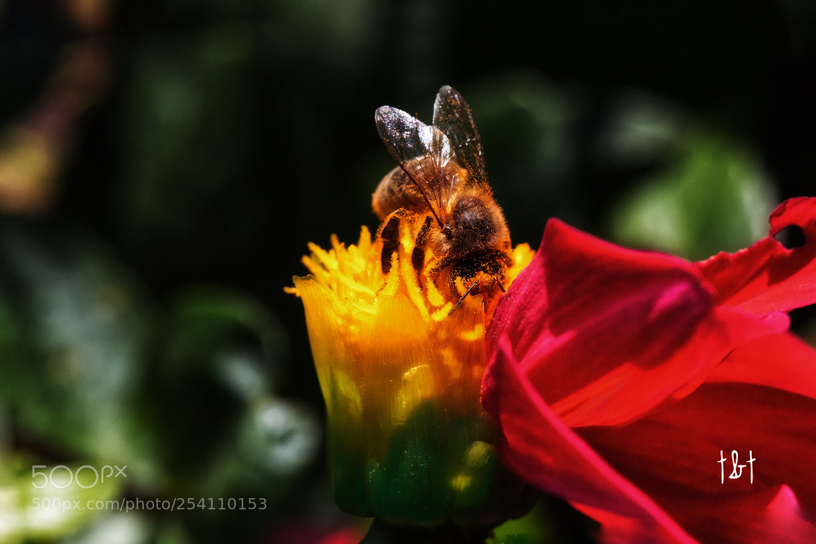 Canon EOS 7D sample photo. Untitled photography