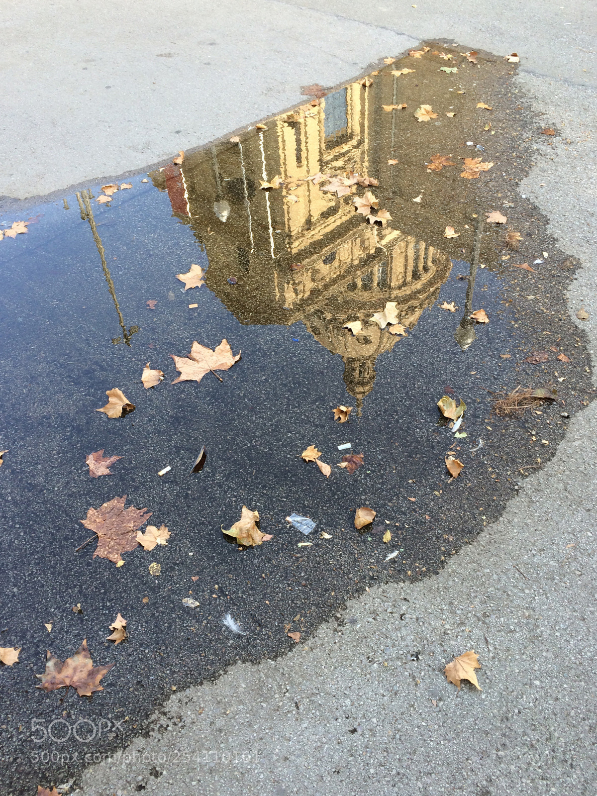 Apple iPhone 5s sample photo. Untitled photography