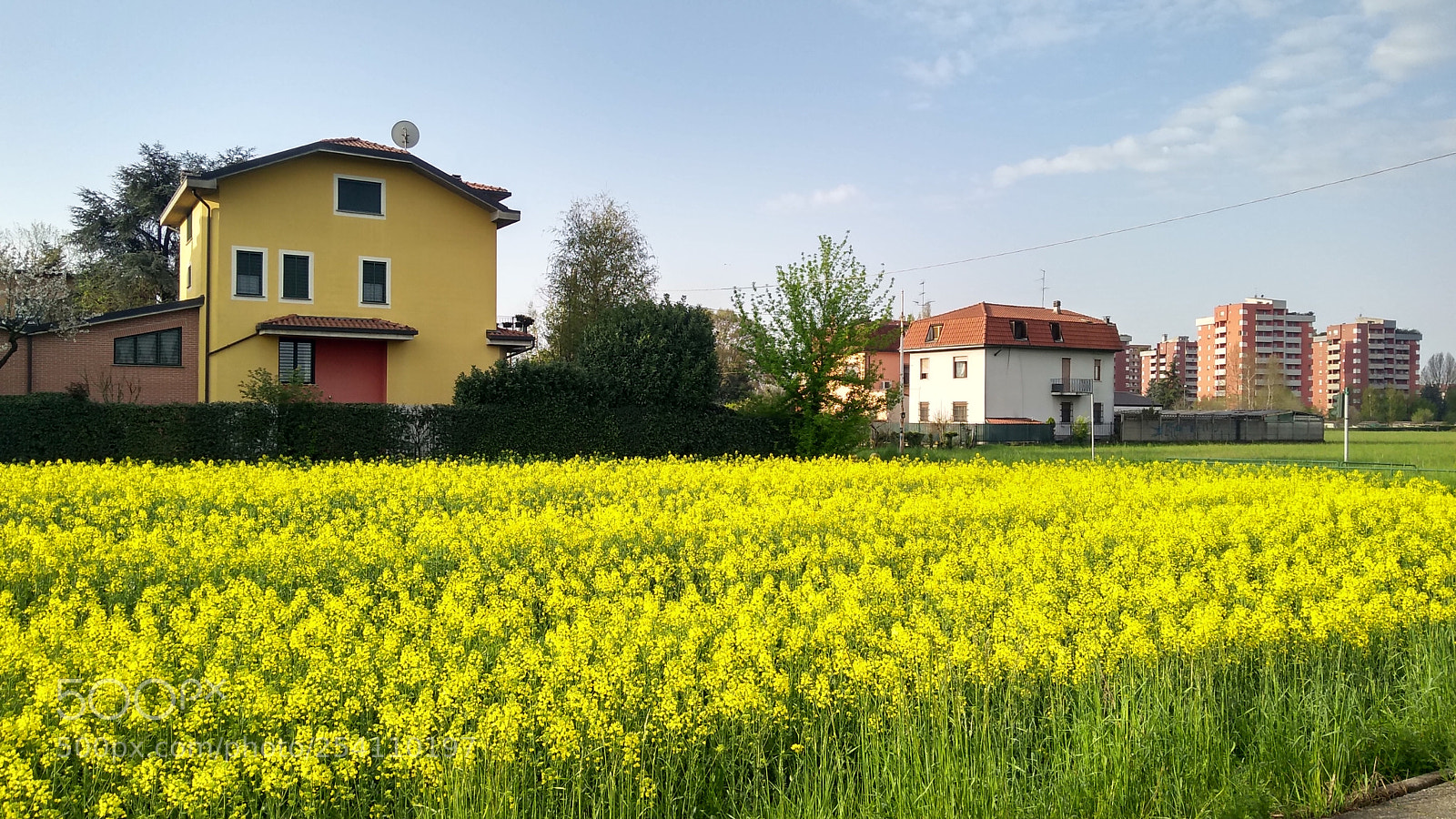 Motorola Moto G (5S) Plus sample photo. La casa nel giallo photography