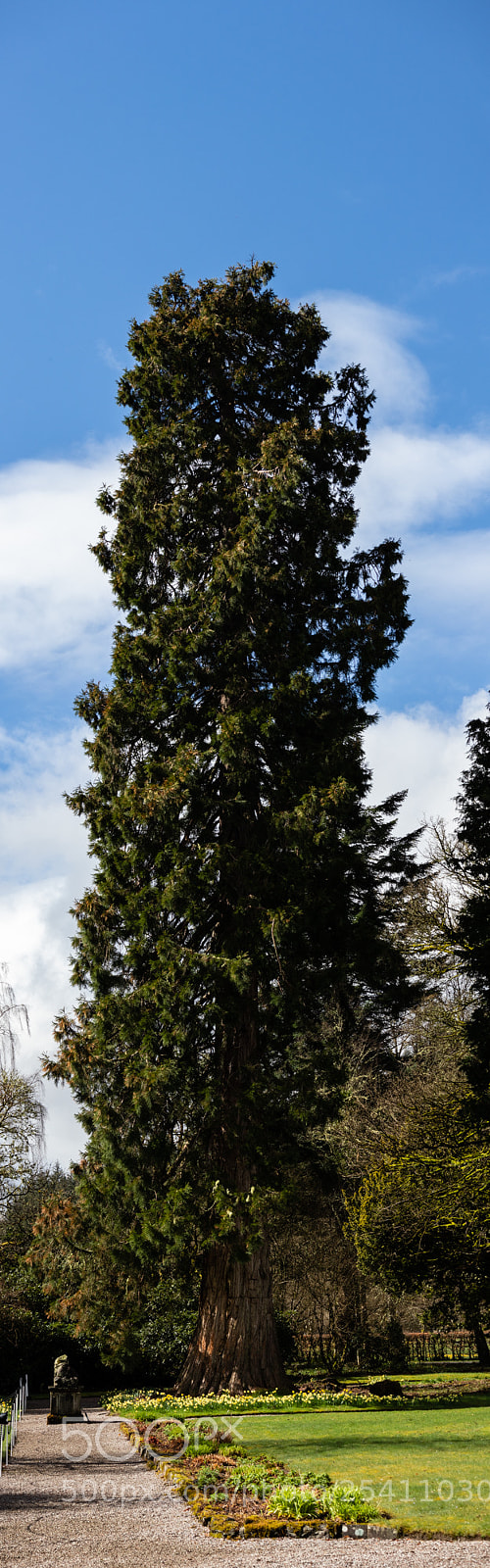 Canon EOS M5 sample photo. Untitled photography