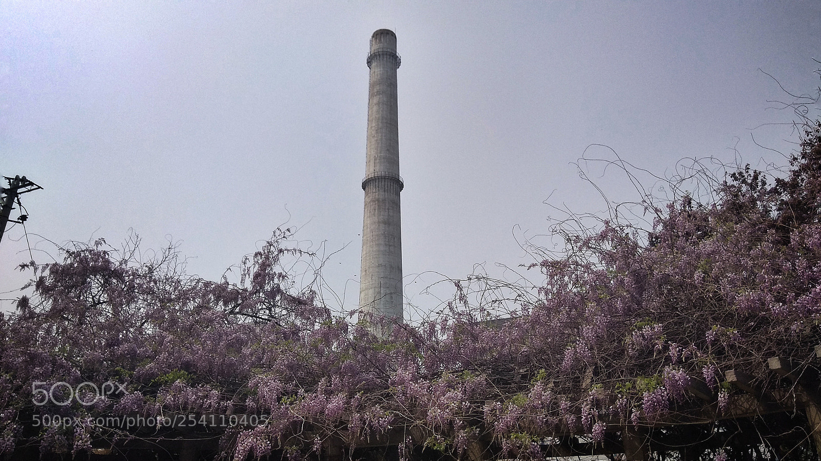 Xiaomi Redmi Note 4X sample photo. Untitled photography