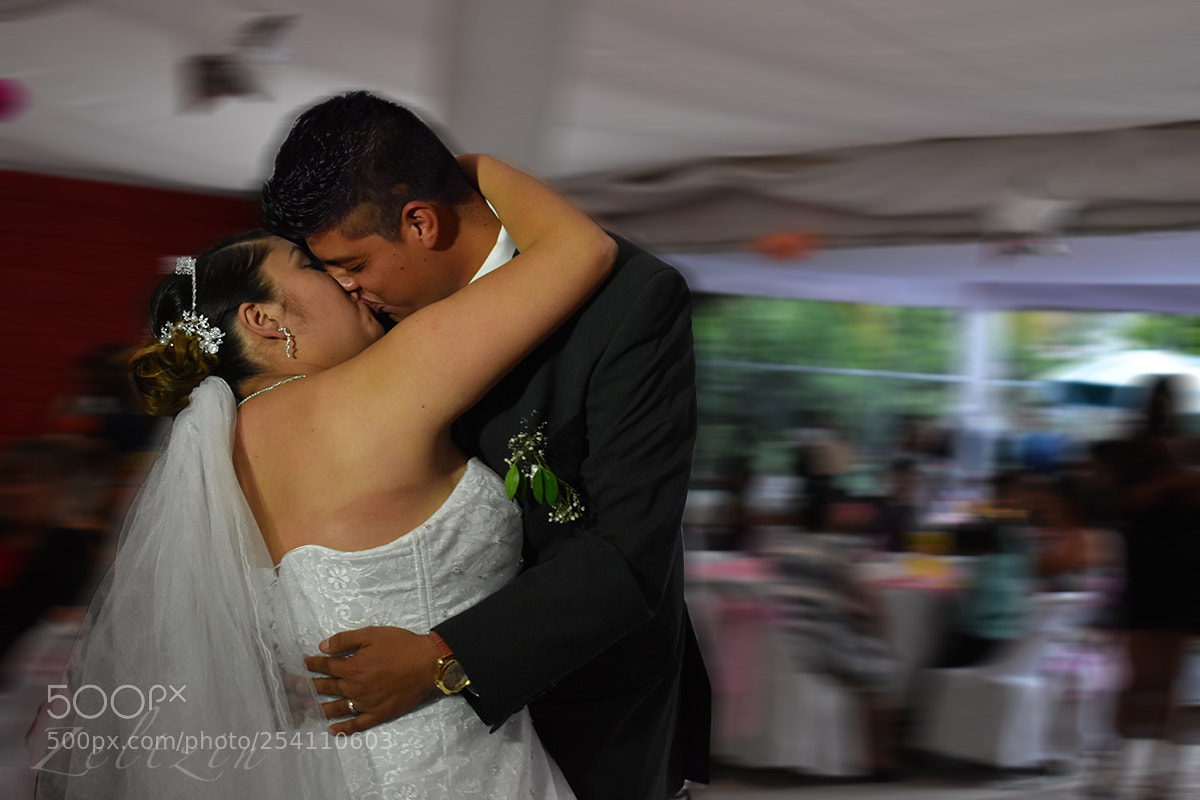 Nikon D3400 sample photo. Untitled photography