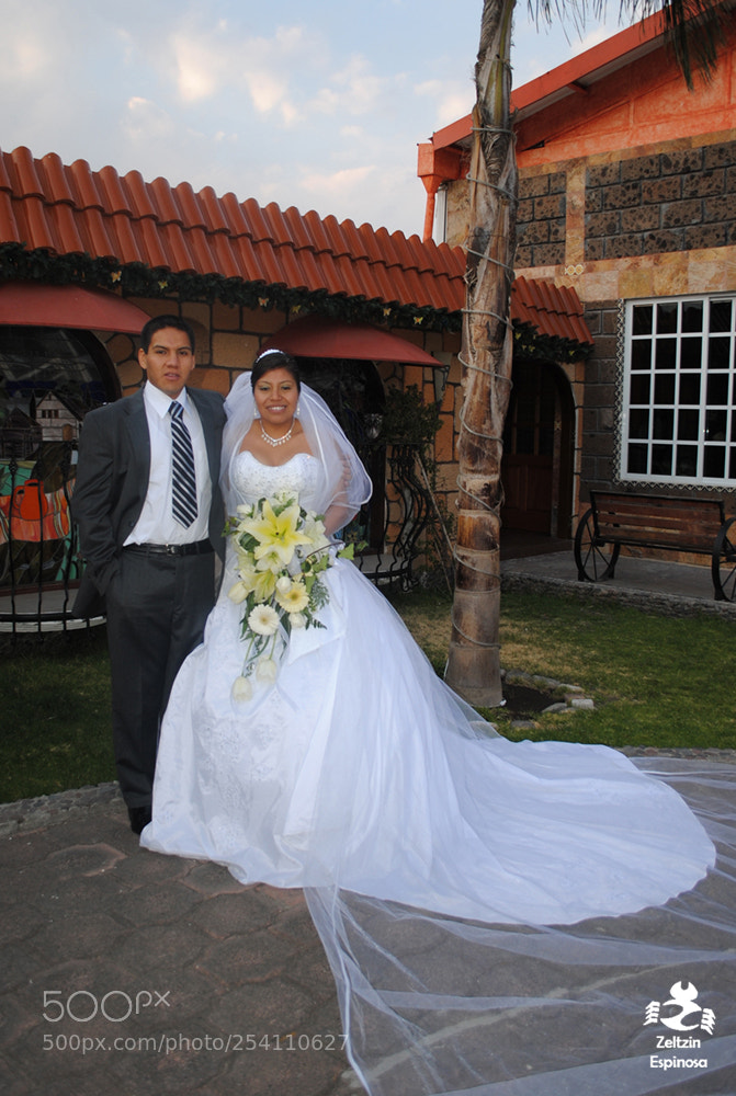 Nikon D3000 sample photo. Untitled photography