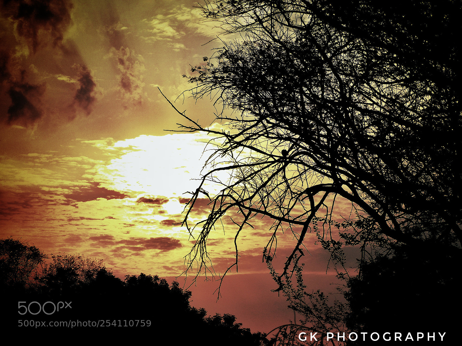 Panasonic Lumix DMC-FZ200 sample photo. Sun rise with a photography
