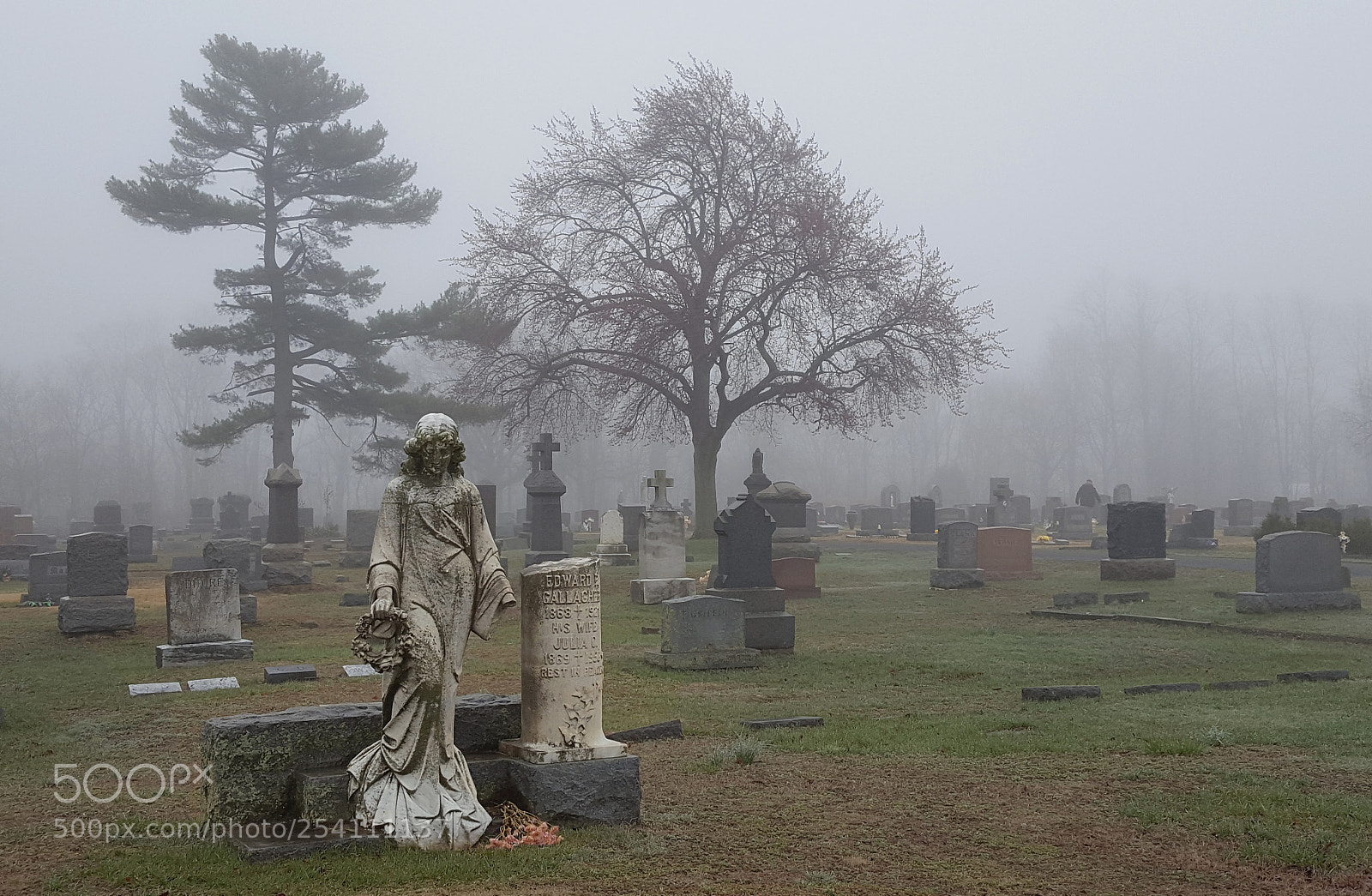 Samsung Galaxy S6 sample photo. Misty lady photography