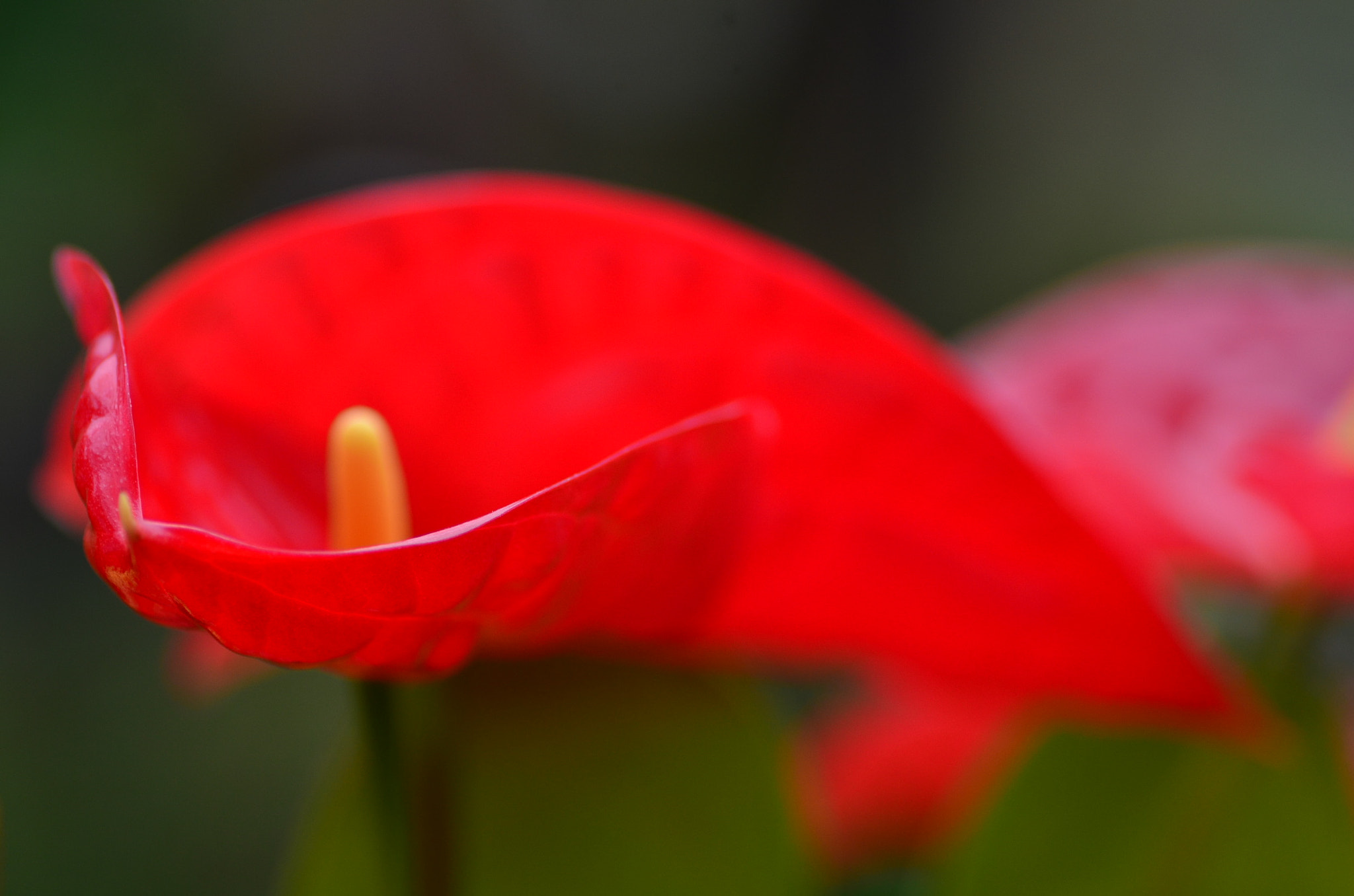 Nikon D7000 sample photo