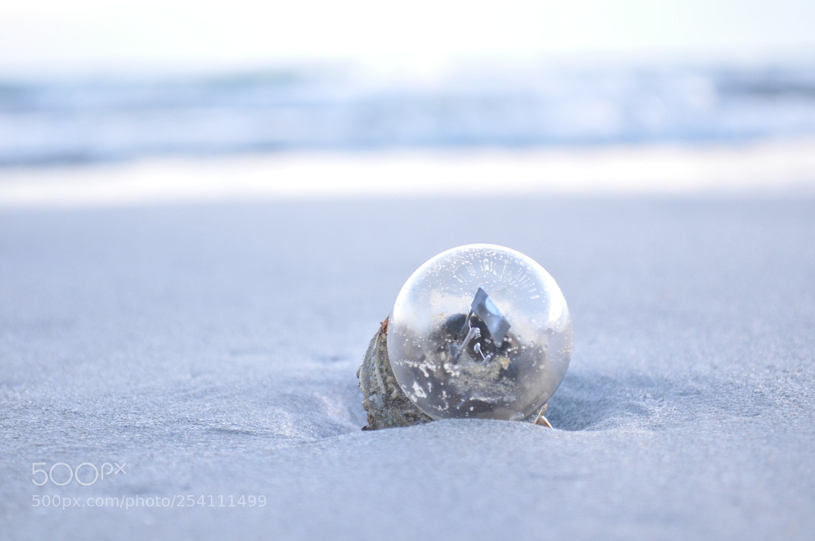 Nikon D5000 sample photo. Broken light photography