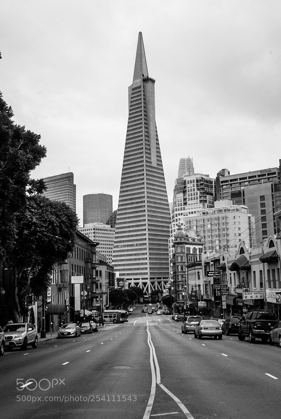 Nikon D7200 sample photo. Pointy tower photography
