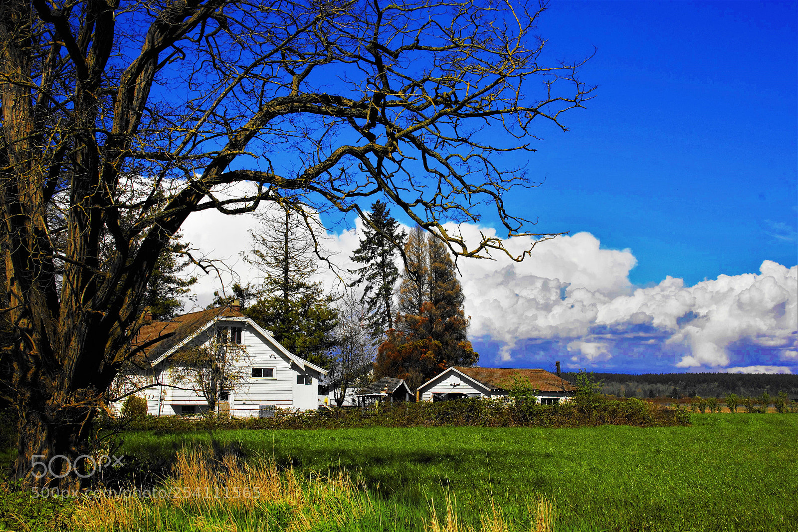 Canon EOS 60D sample photo. Farm -- 农场 photography