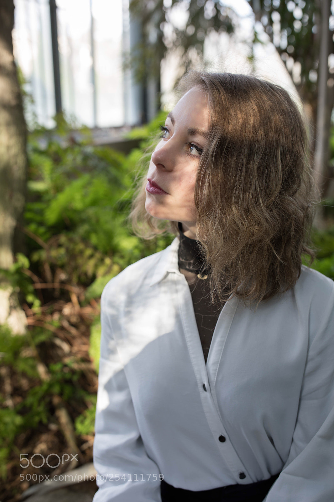 Canon EOS 5D Mark IV sample photo. Light & shadow photography