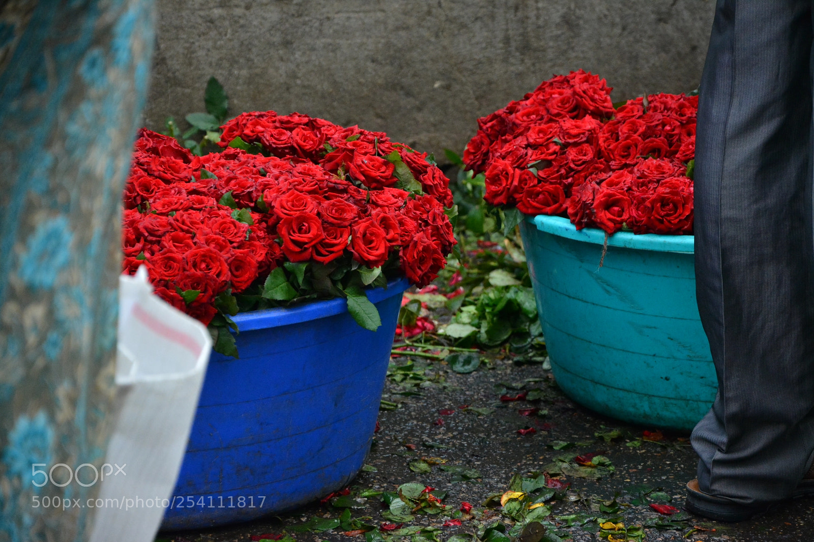 Nikon D5200 sample photo. Dsc photography