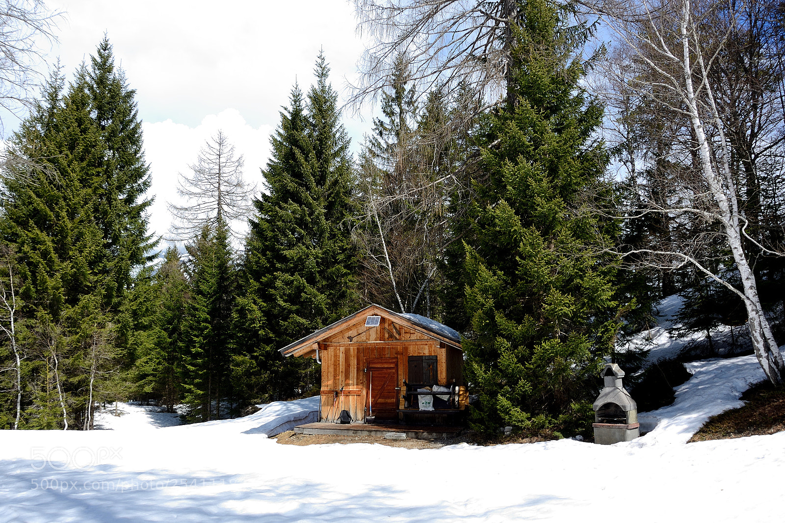 Nikon D7000 sample photo. Waiting for the spring photography