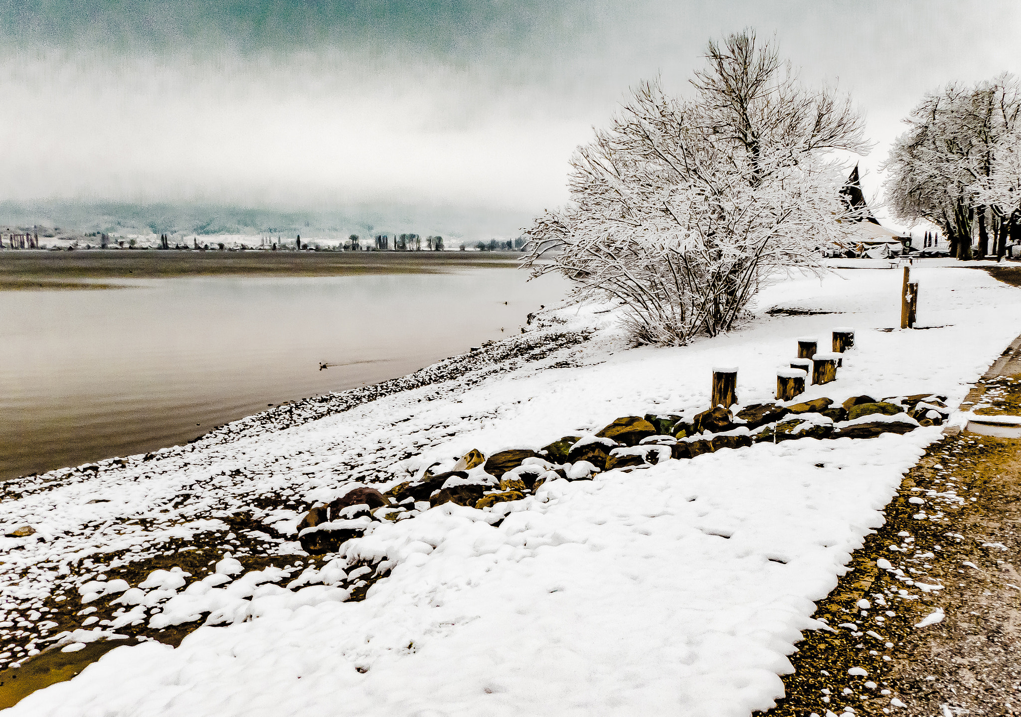 Panasonic DC-TZ91 sample photo. Verschneite seesicht photography