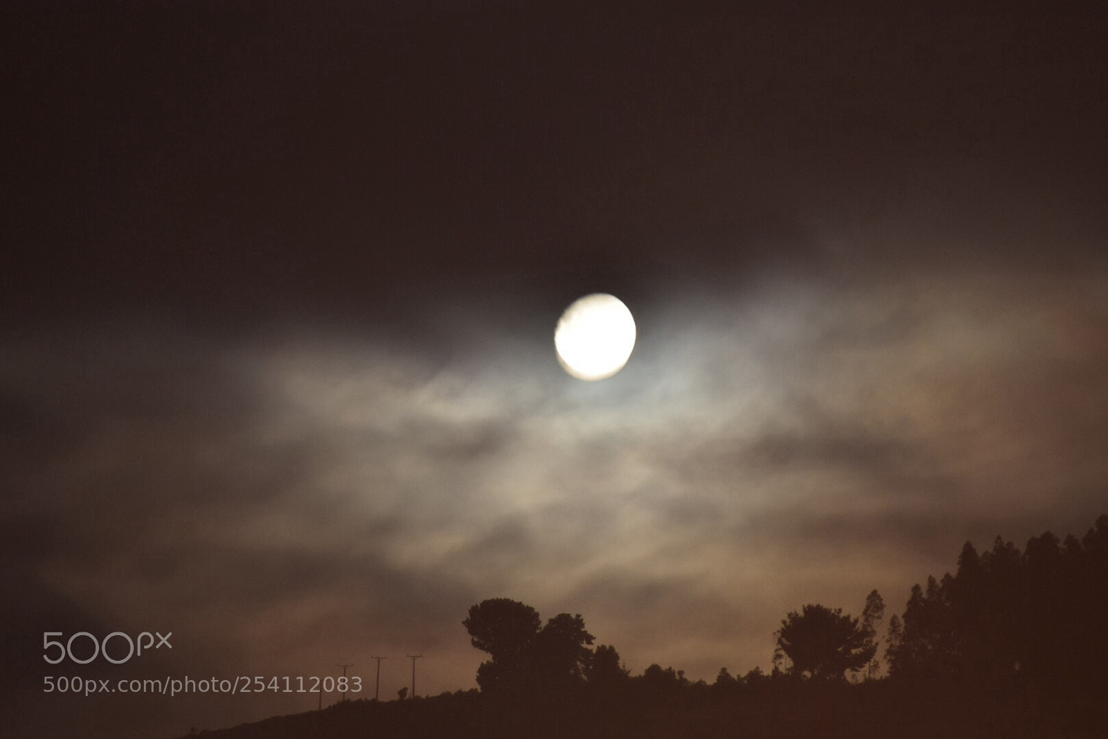 Nikon D5300 sample photo. Untitled photography