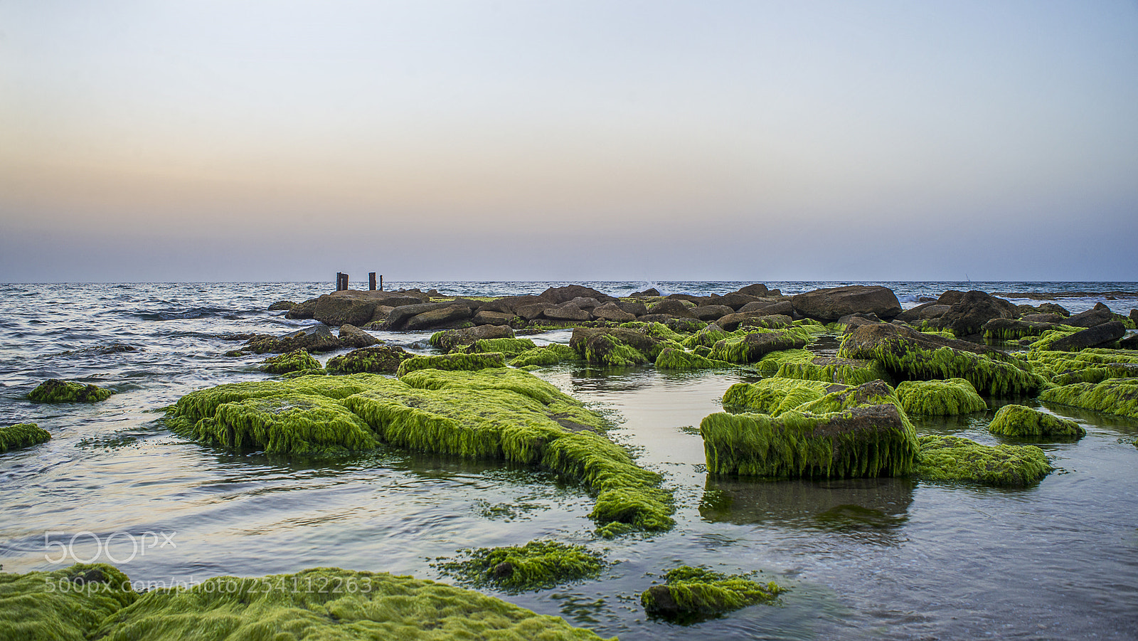 Nikon D600 sample photo. Calming water photography