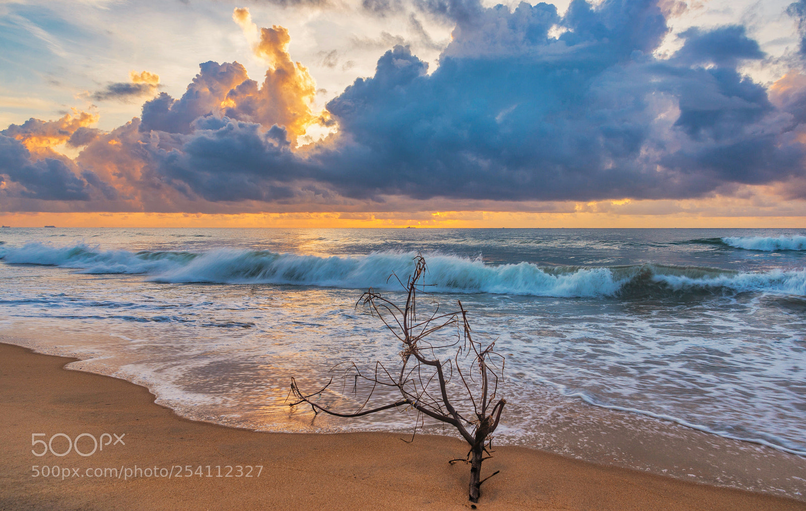 Nikon D610 sample photo. Dawn and driftwood photography