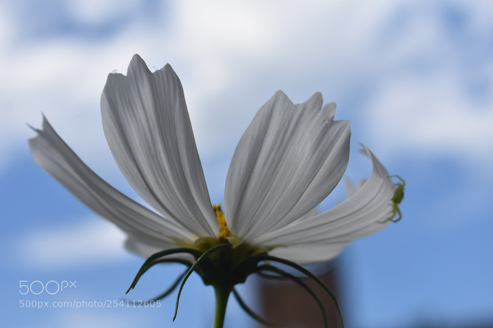 Nikon D3400 sample photo. The getaway photography