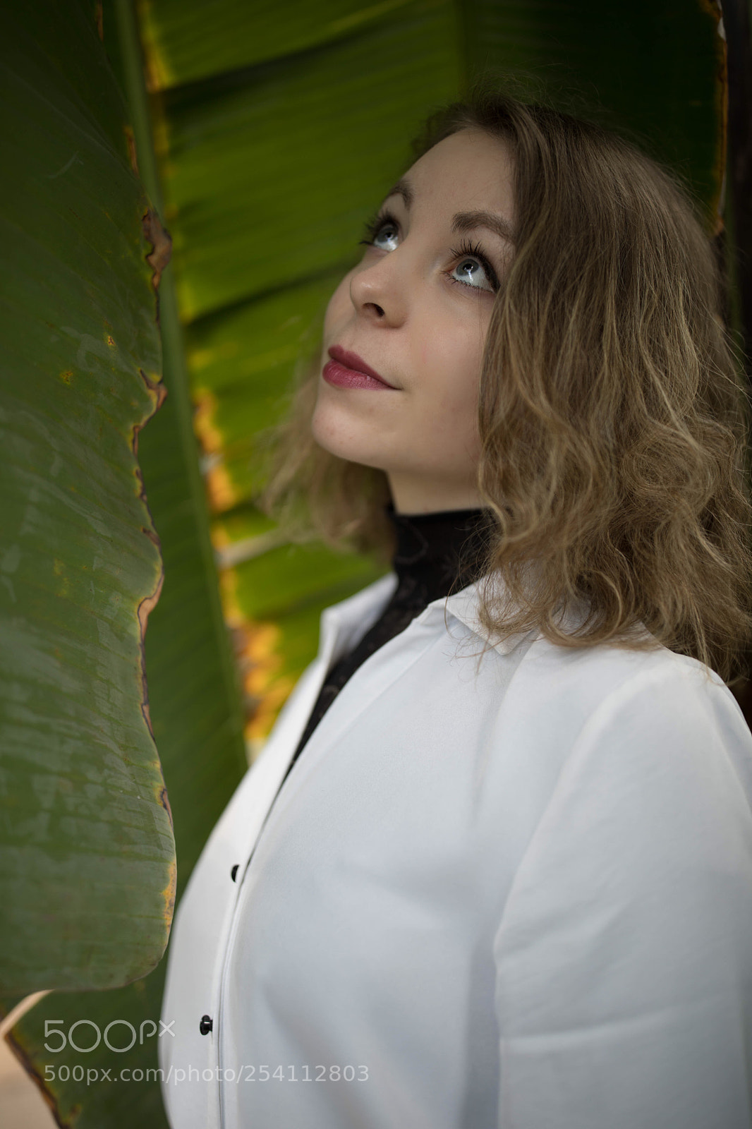 Canon EOS 5D Mark IV sample photo. Blue eyes photography