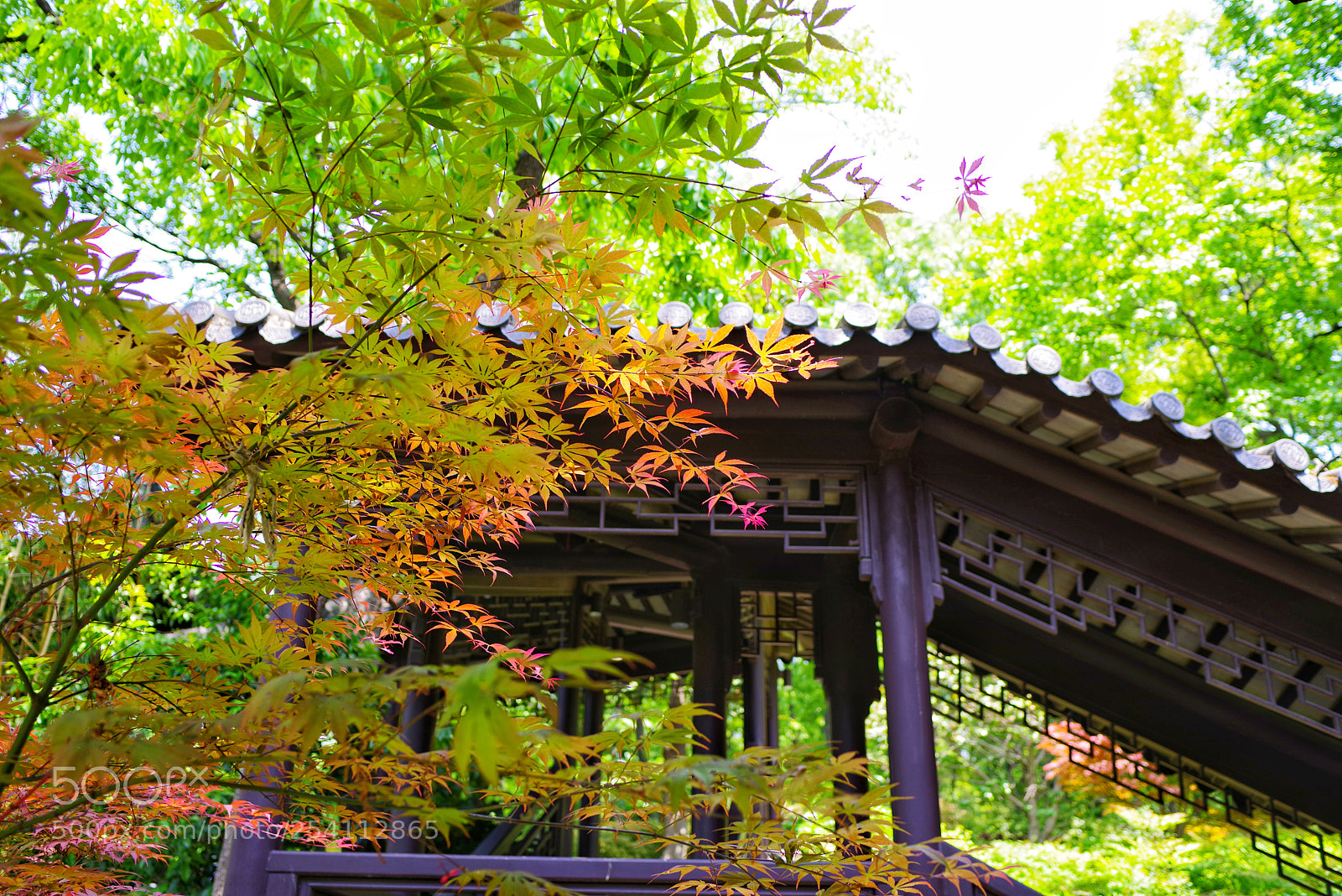 Pentax K-1 sample photo. Untitled photography