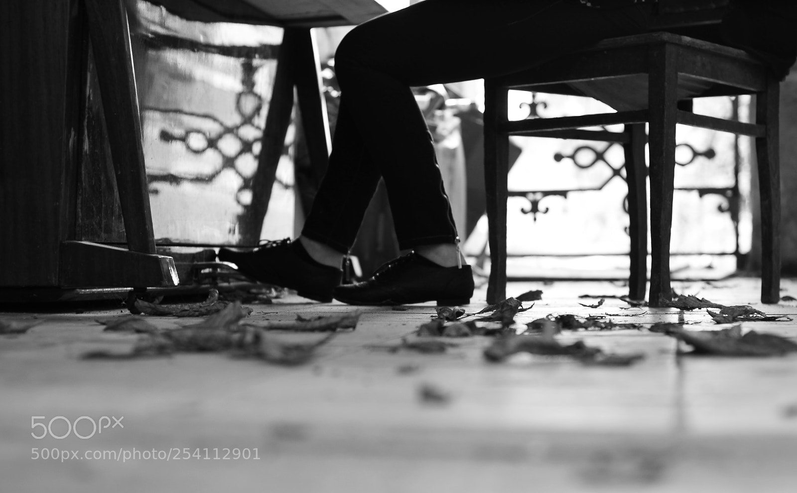 Nikon D5000 sample photo. Autumn piano photography
