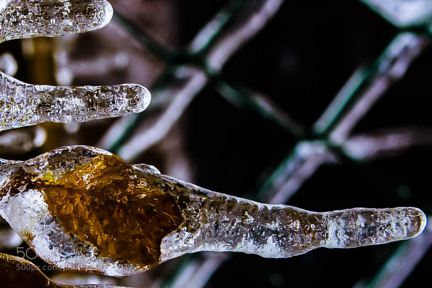 Canon EOS 60D sample photo. Dec 2013 toronto ice photography