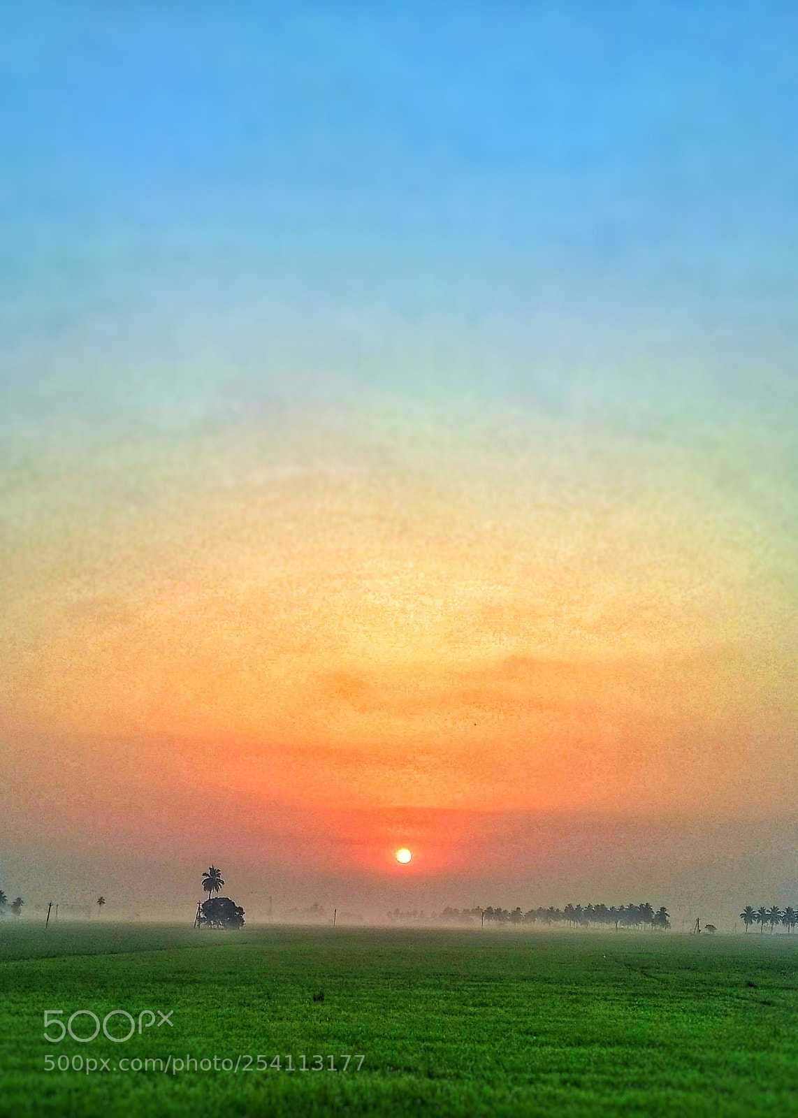 Xiaomi Redmi Note 4 sample photo. Untitled photography