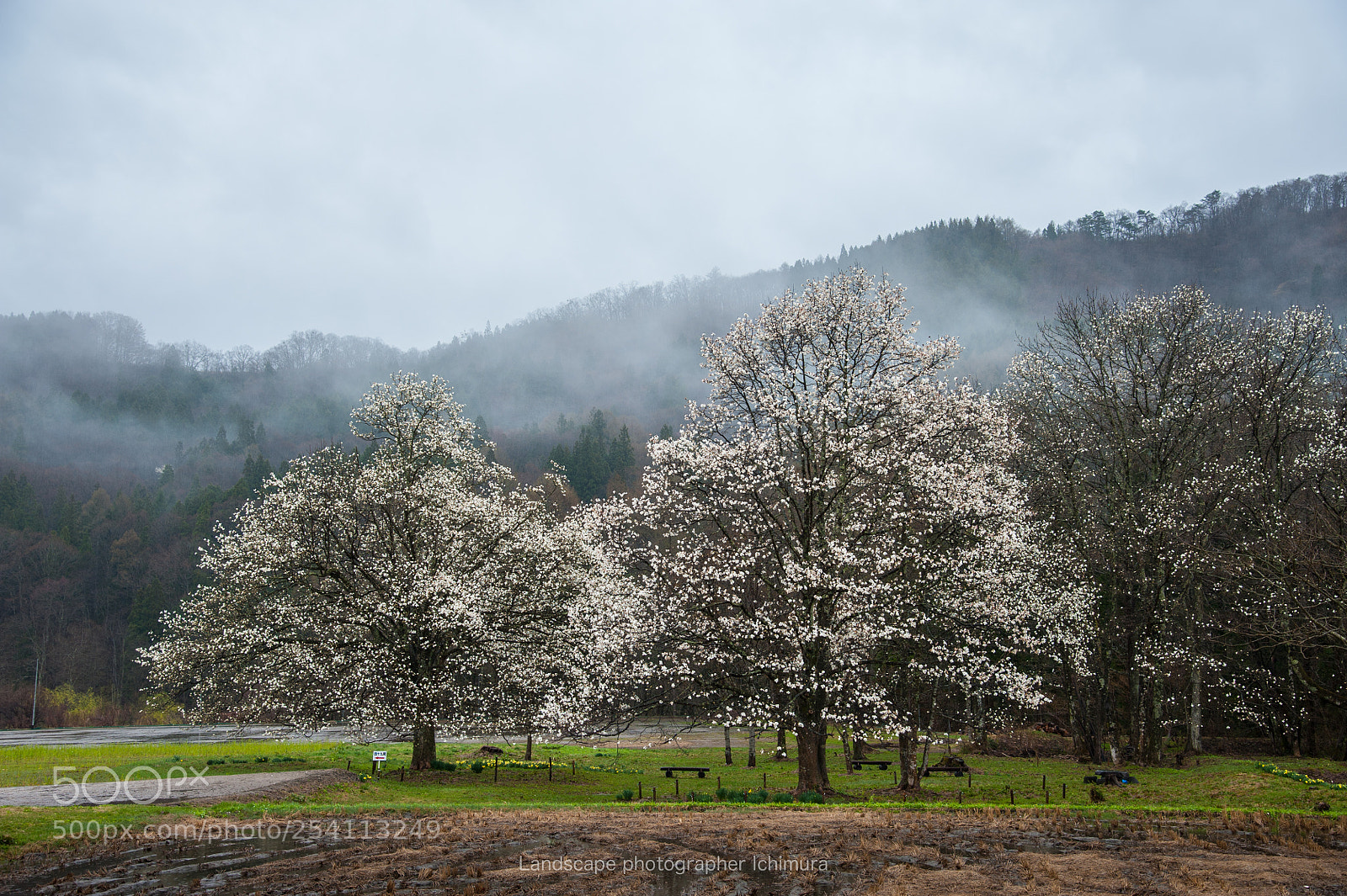 Nikon D700 sample photo. Late spring of the photography