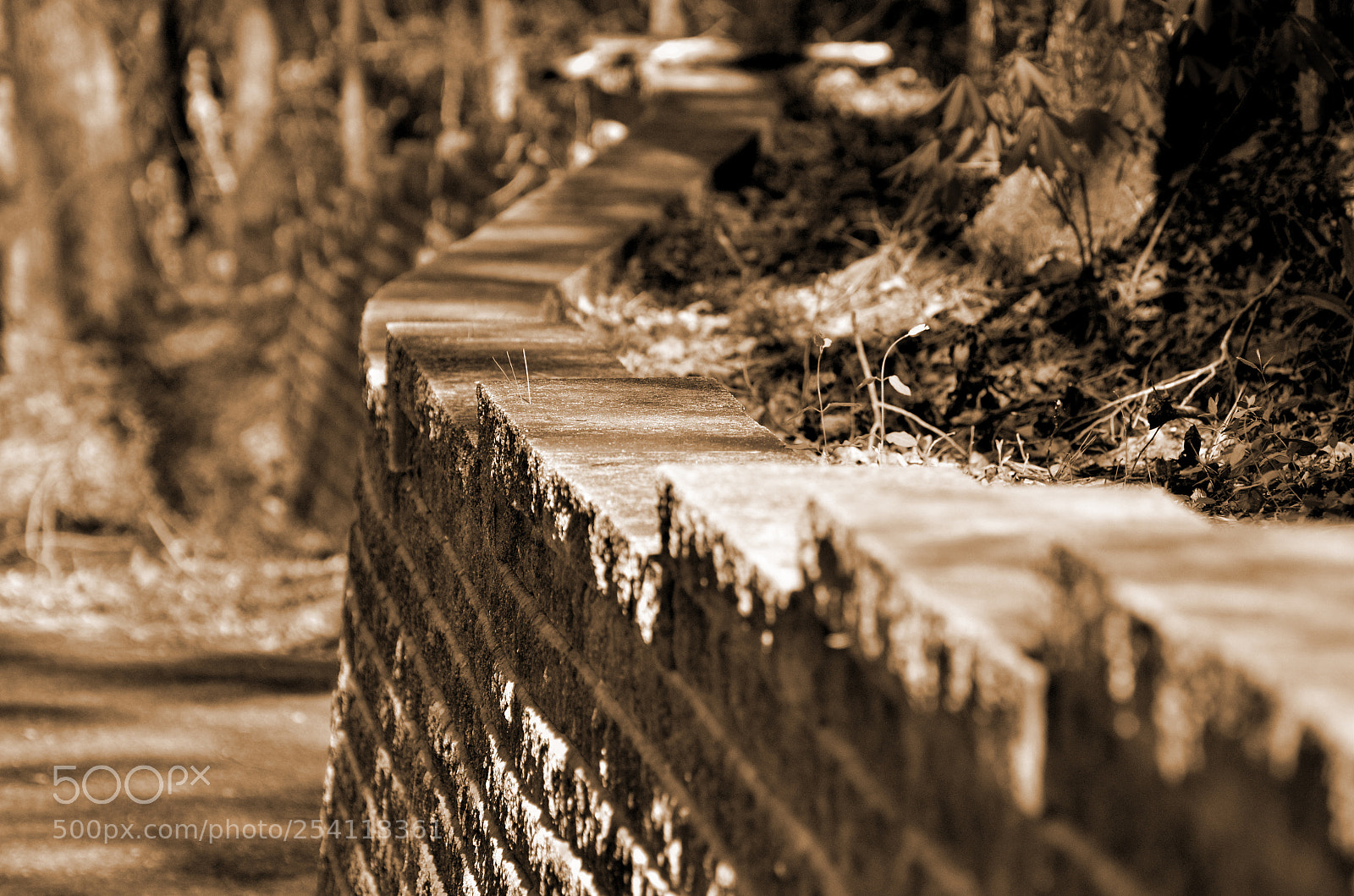 Nikon D7000 sample photo. Along the wall b photography