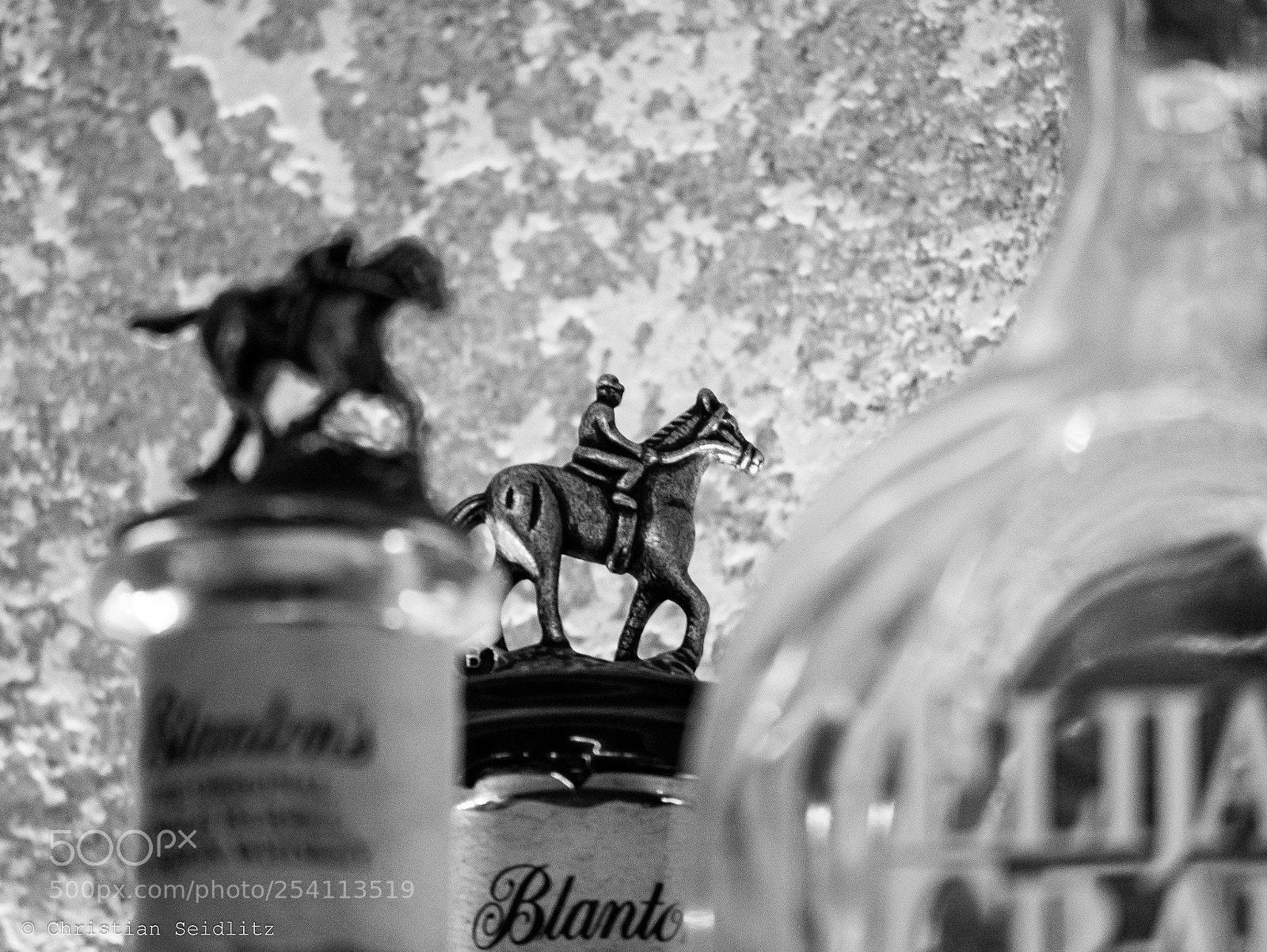 Panasonic DMC-G81 sample photo. Horseback bartalk photography