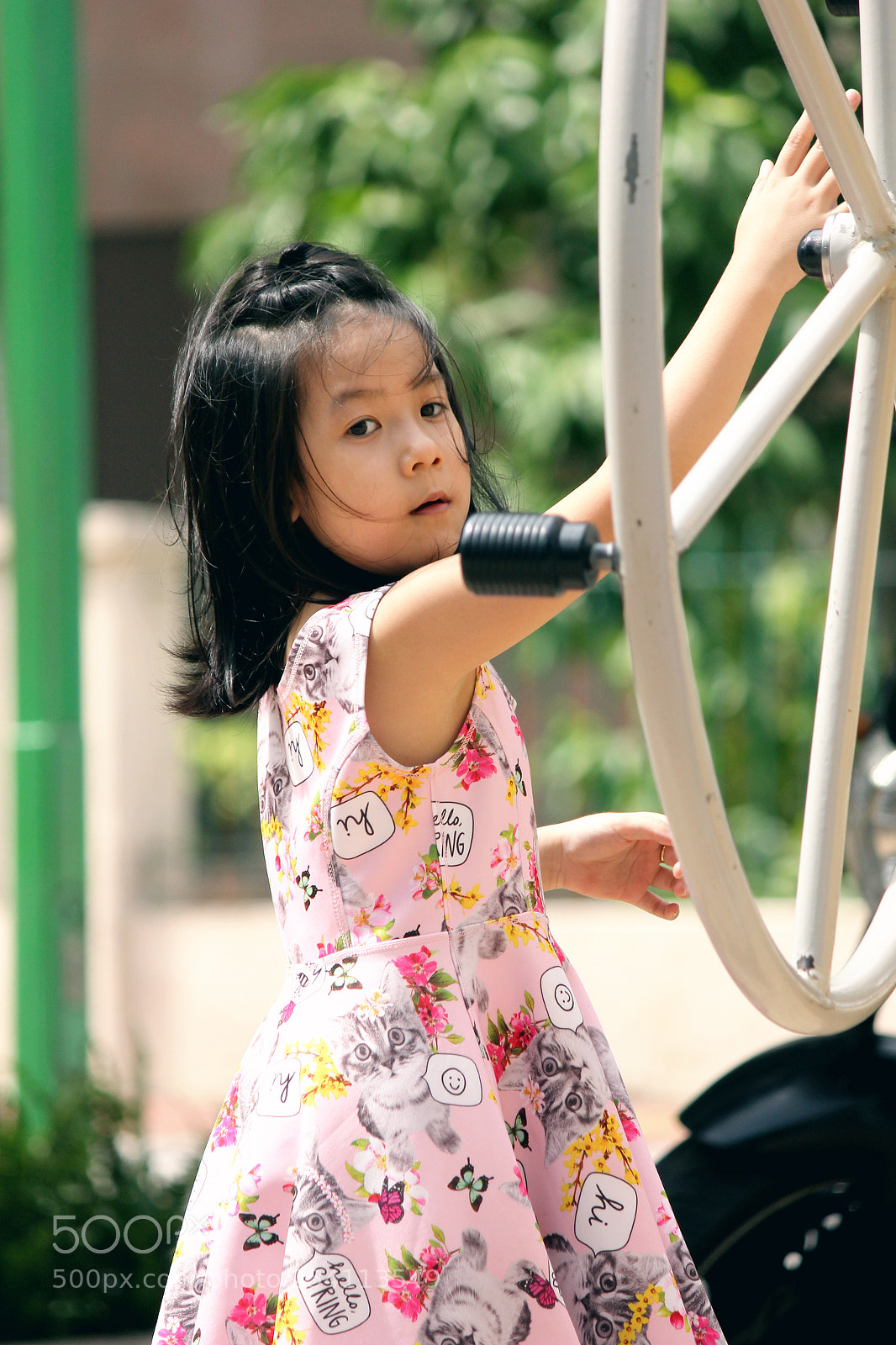 Canon EOS 600D (Rebel EOS T3i / EOS Kiss X5) sample photo. Img photography