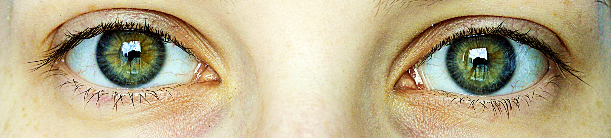 Nikon AF-S DX Micro Nikkor 40mm F2.8 sample photo. Green eyes photography