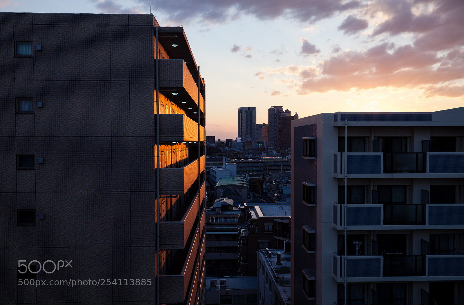 Canon EOS 5D Mark II sample photo. 5379 photography