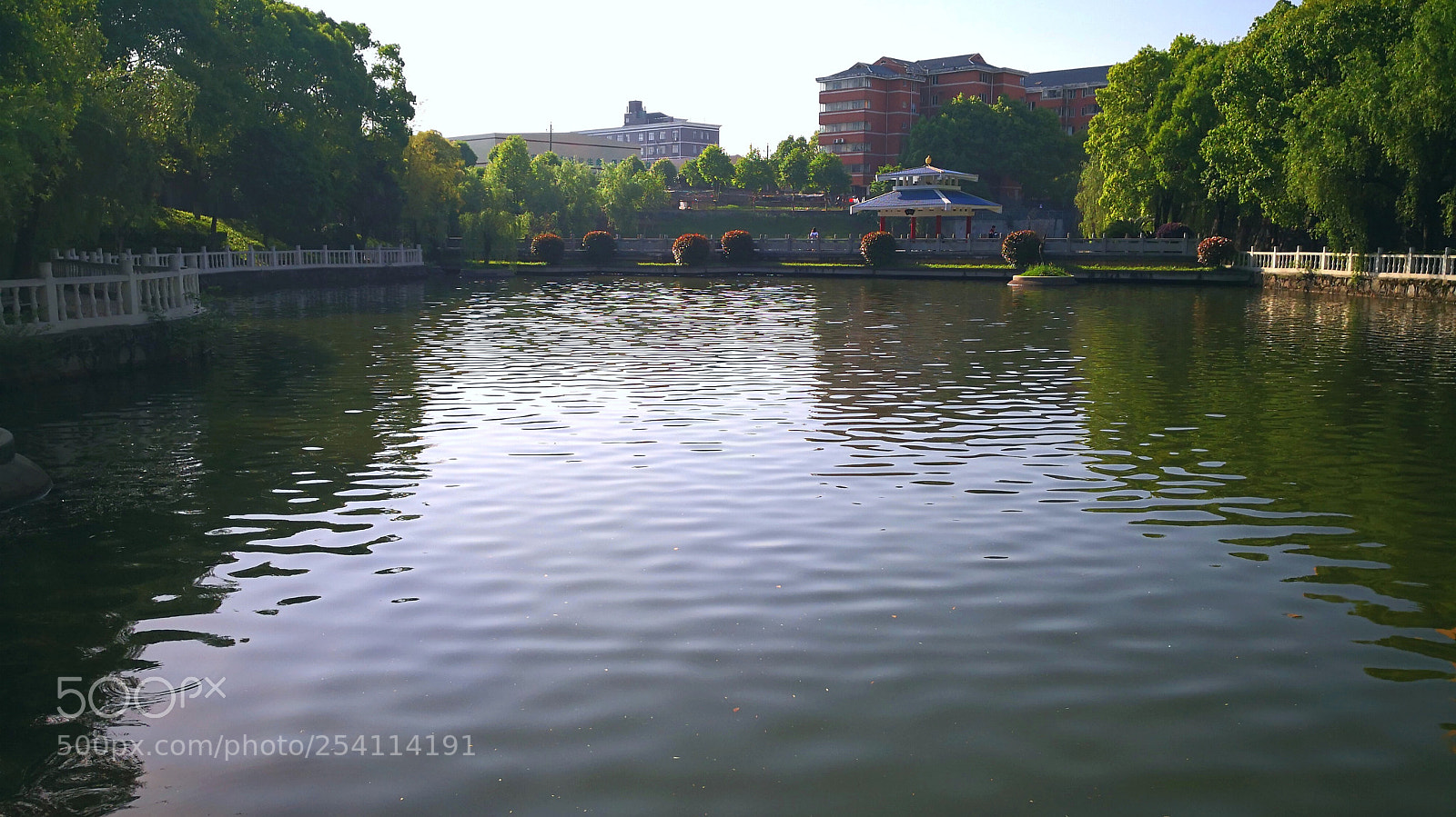 HUAWEI Mate 10 sample photo. Untitled photography