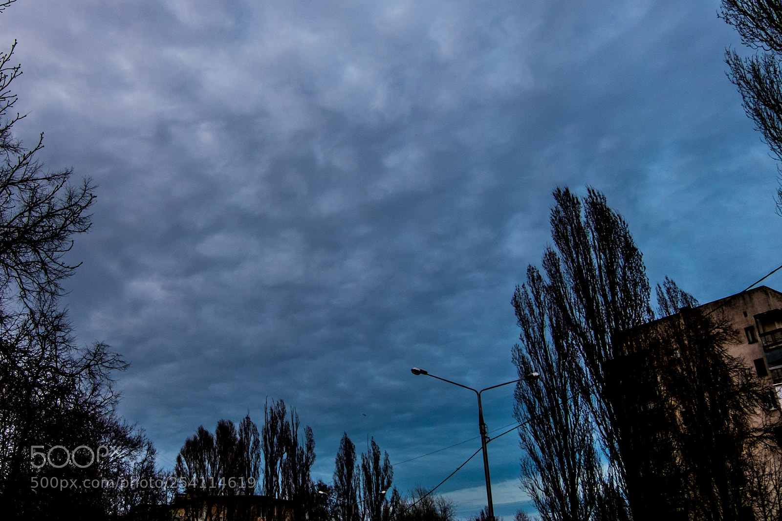 Fujifilm X-T10 sample photo. Dscf photography