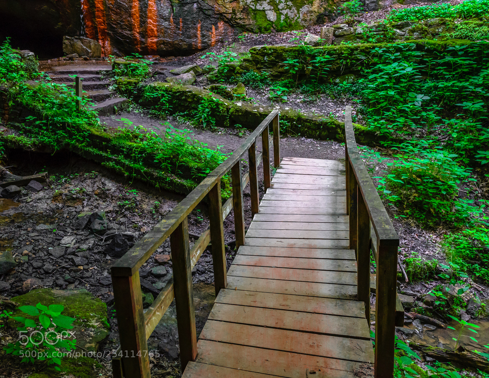 Nikon D500 sample photo. Raccoon creek state park photography