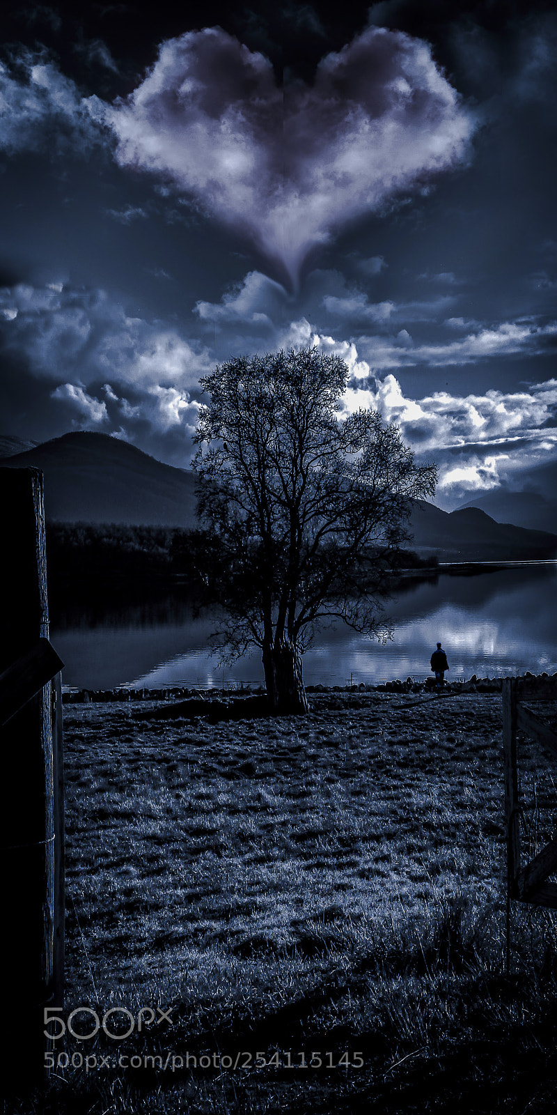 Canon EOS-1D Mark IV sample photo. Tree with a lonely photography