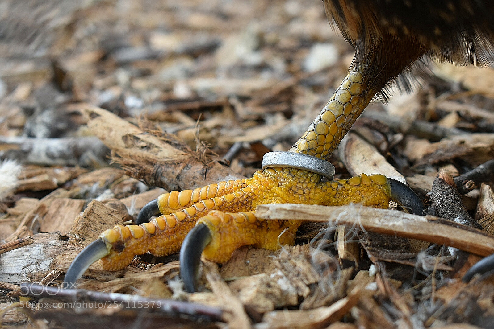 Nikon D3400 sample photo. Untitled photography