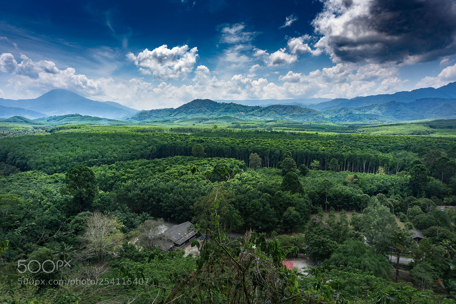 Sony a6000 sample photo. Lush viewpoint photography