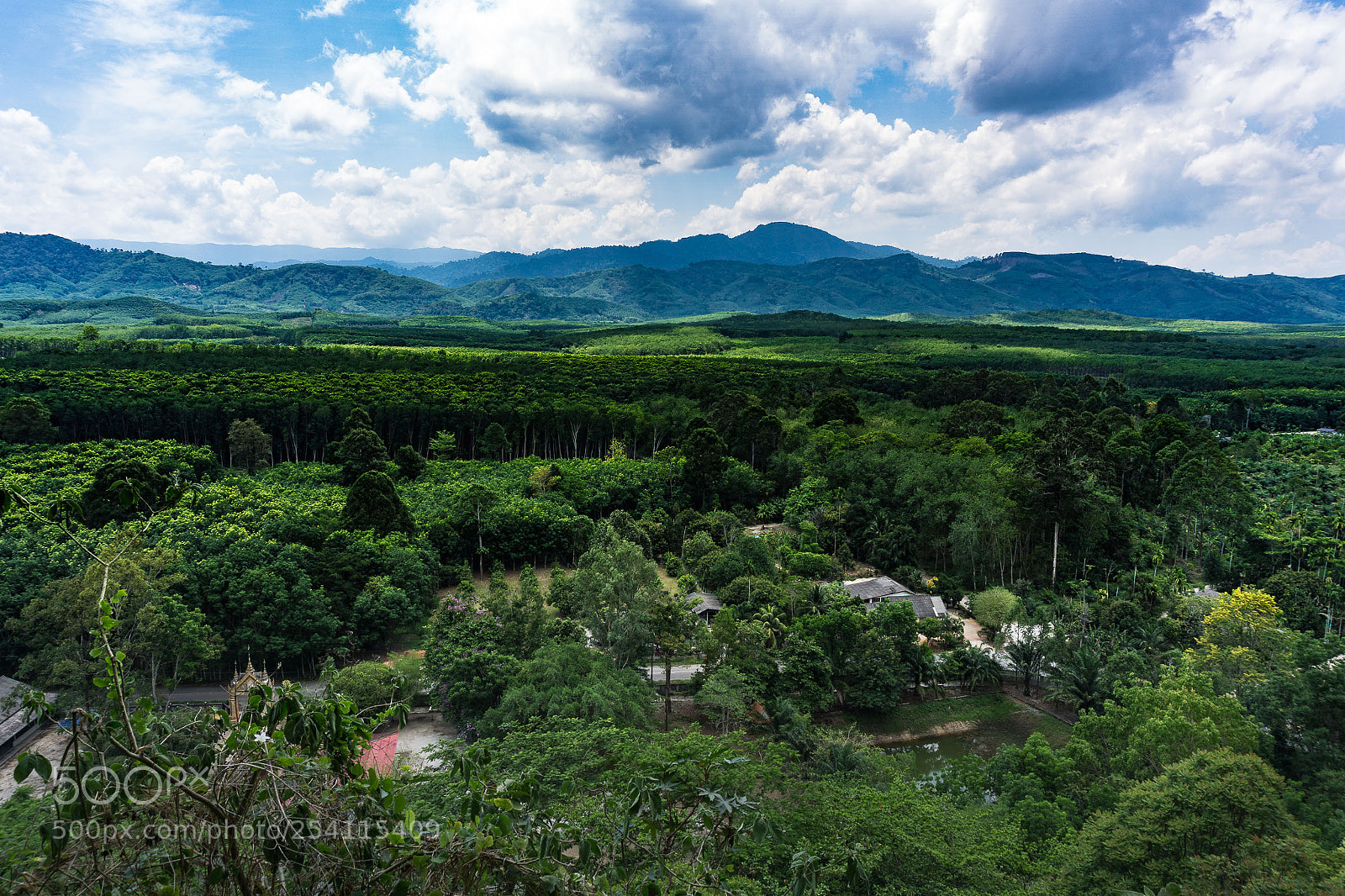 Sony a6000 sample photo. Another lush viewpoint photography